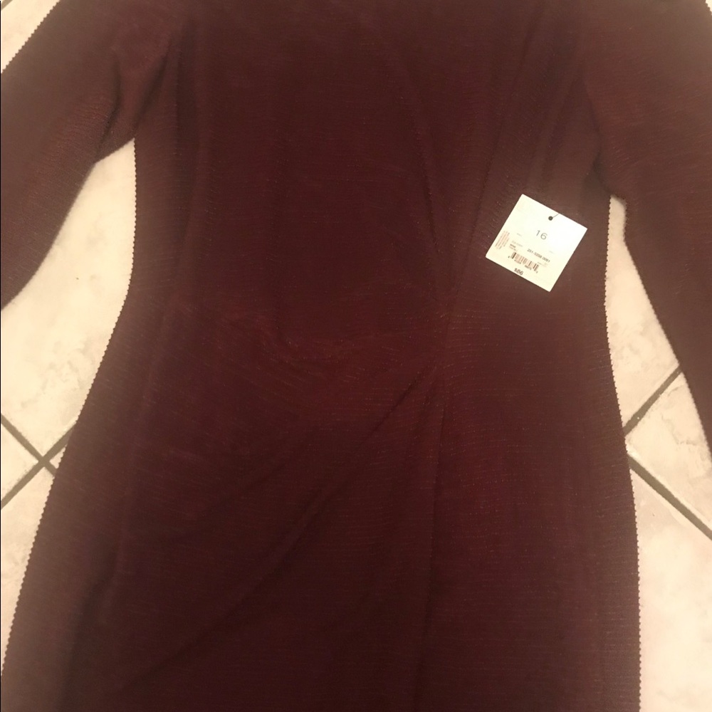 Burgundy Nighy glittery Dress